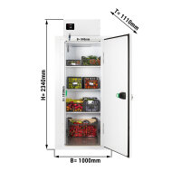 Kompakte Kühlzelle - 1,0 x 1,1 m - Höhe: 2,34 m - 1,59 m³ - mit 3 Ablagen
