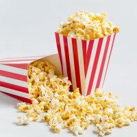 Popcornmaschine - 10 kg/h - mit 2 Kessel