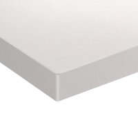 Schneideplatte für Fleischereitisch - 1800x800mm - Weiß