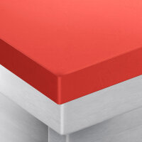 Edelstahl Arbeitsschrank - 1,0 m - mit Schiebetür & Aufkantung inkl. Schneideplatte in Rot