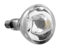Infrarotlampe IWL250D-W